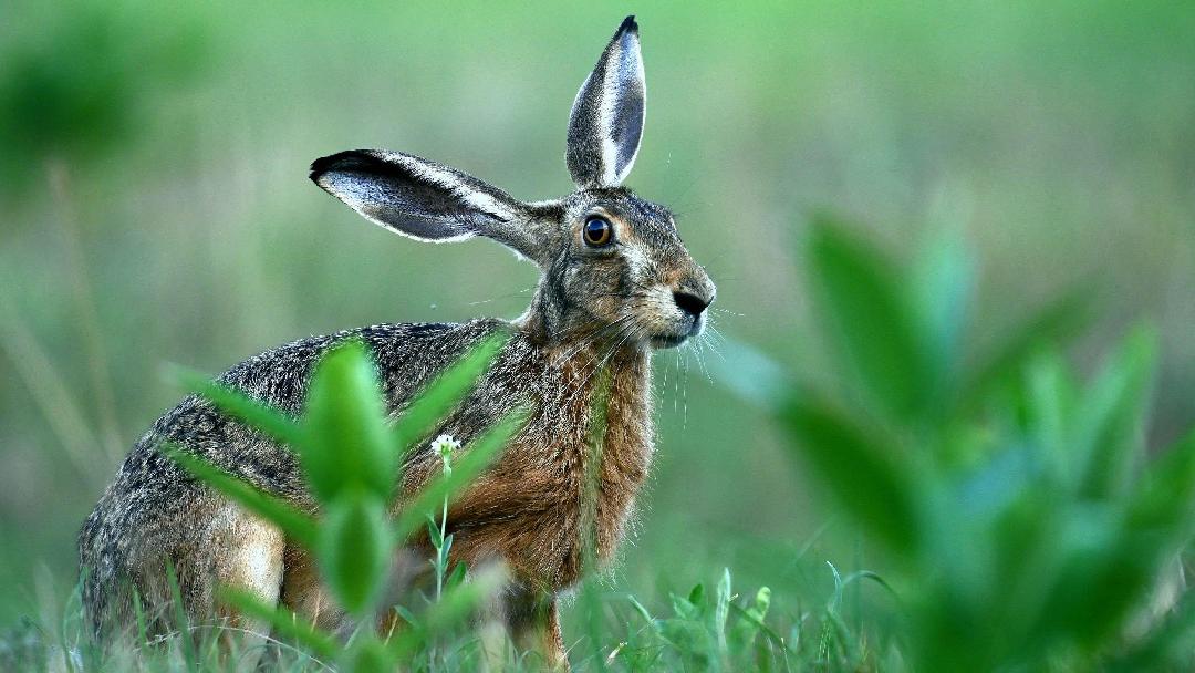 Fotó: Klép Sándor