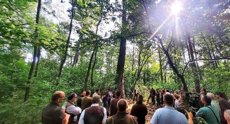 A Gemenc Zrt. módszerei az ártéri Natura 2000 jelölő élőhelyek fenntartásában