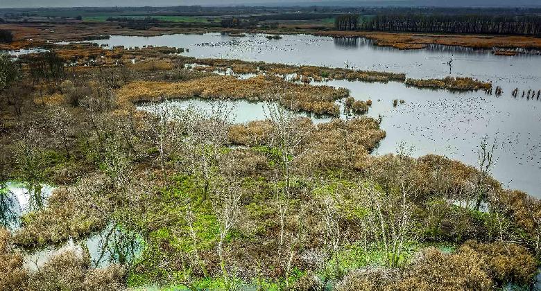 A „vadtavaké” a jövő?