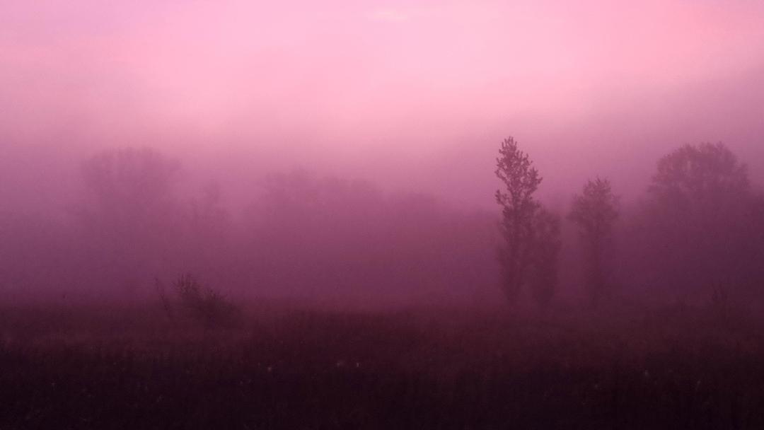 Fotó: ifj. Bóta István