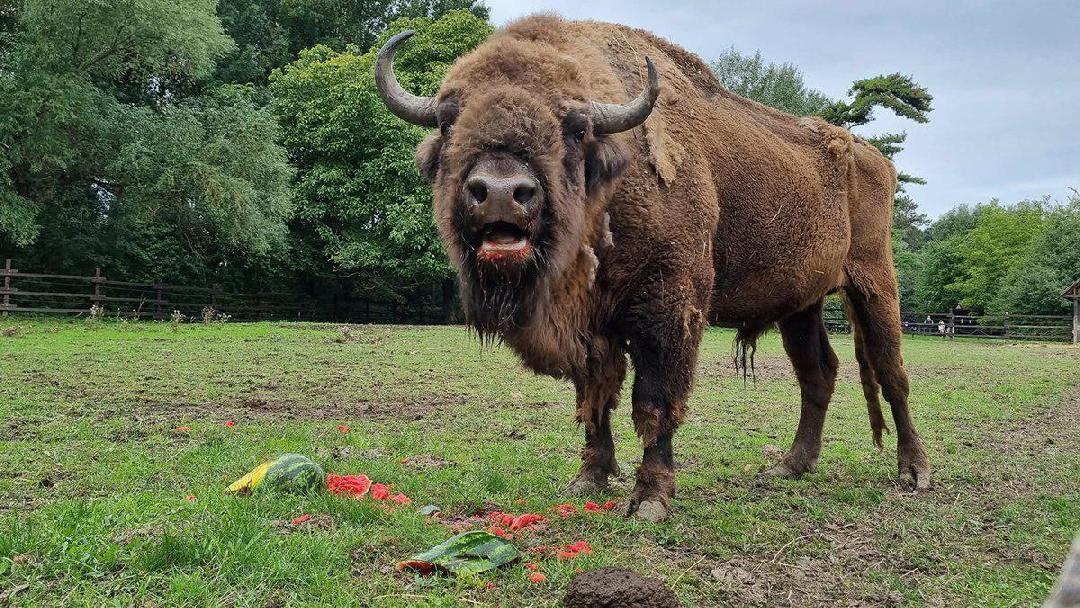 fotó: Körös-Maros Nemzeti Park