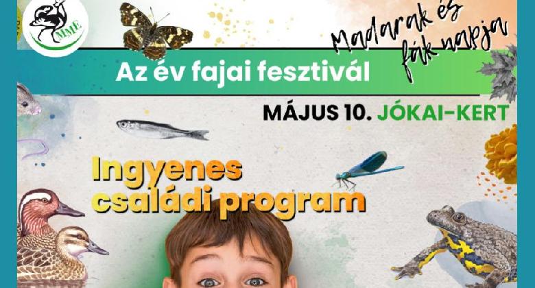 Év fajai fesztivál a Jókai-kertben

