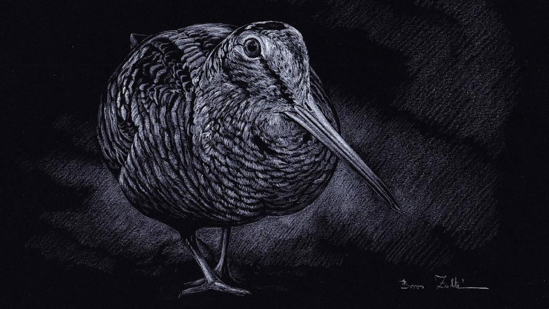 Illusztráció: Boros Zoltán