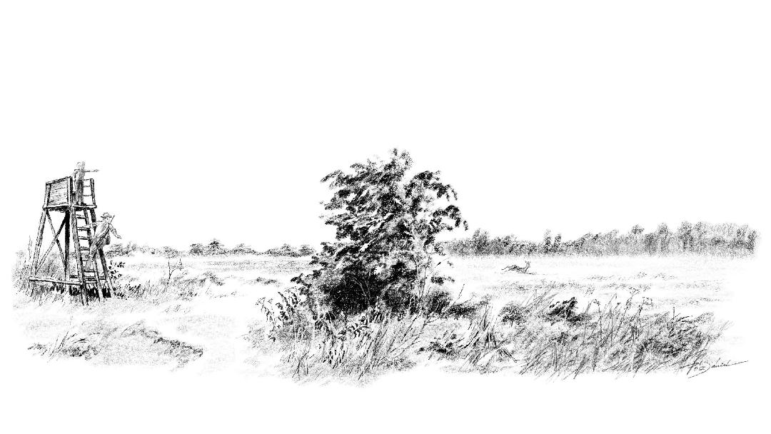 Illusztráció: Pintér Norbert