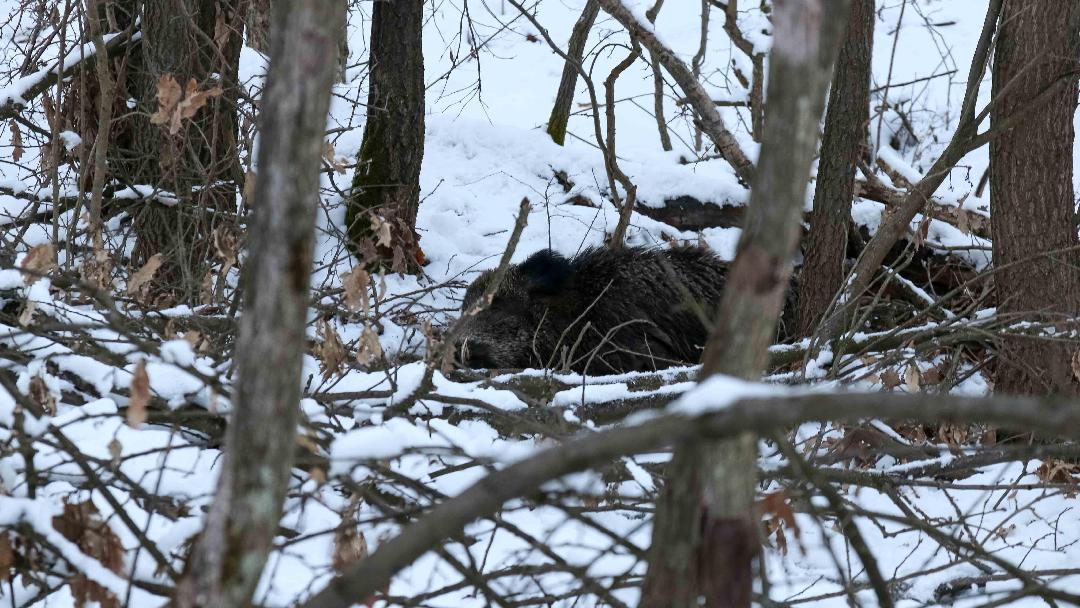 Fotó: ifj. Bóta István
