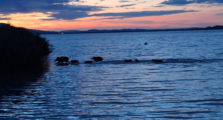 A Balaton már nem csak nekünk a Riviéra