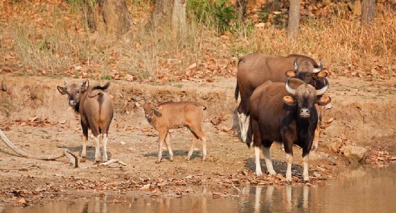 Kirándulás – Mysore, Government House