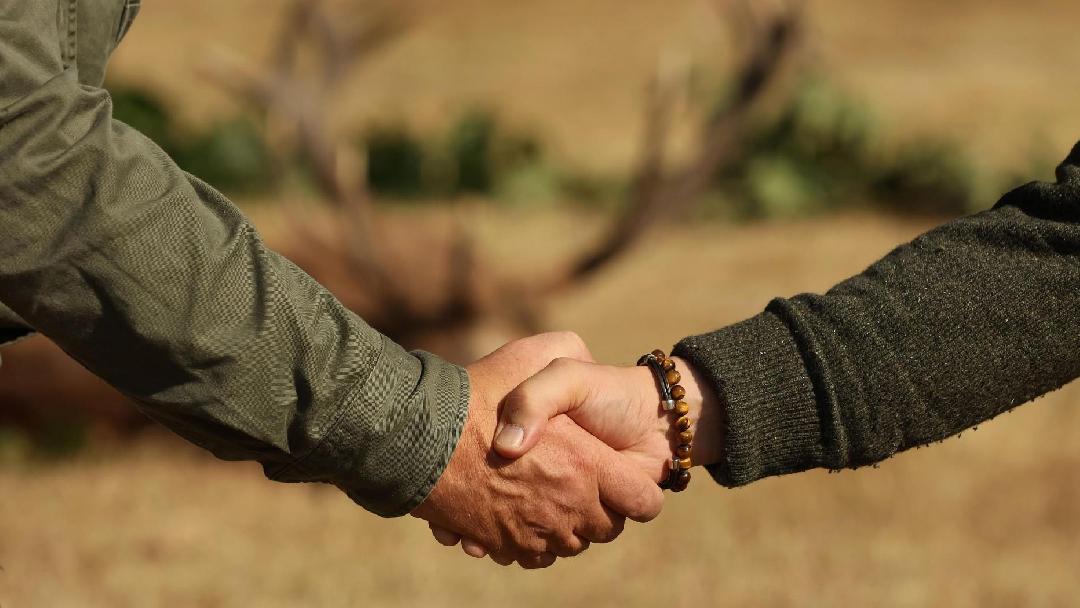 Illusztráció: Szigeti Edit