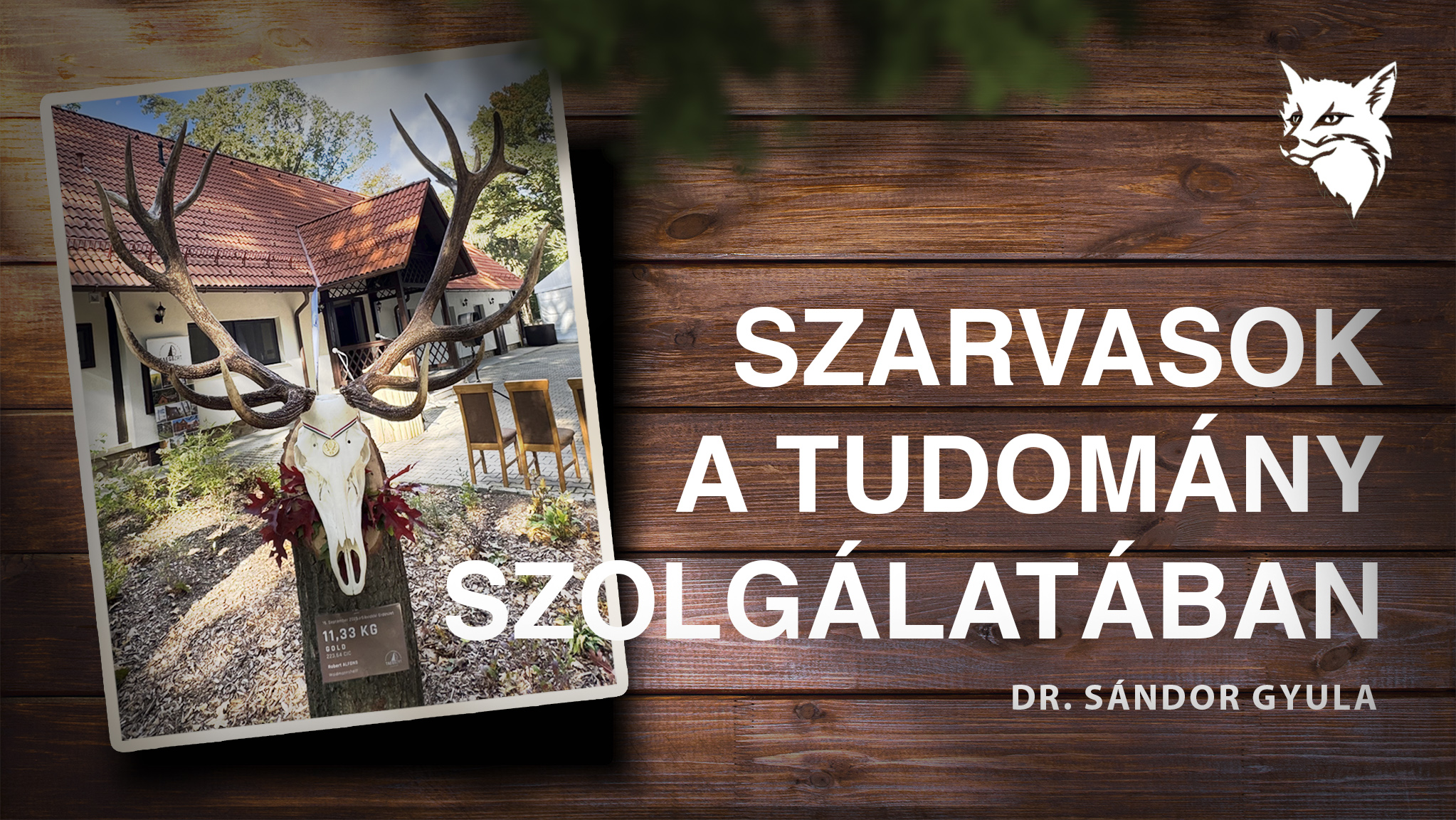 Szarvasok a tudomány szolgálatában - dr. Sándor Gyulával beszélgettünk