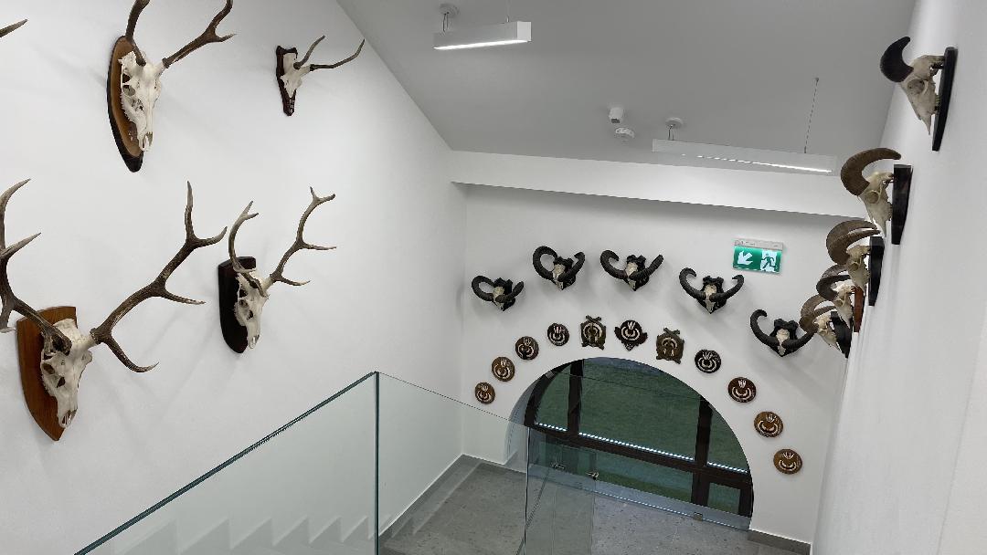 Vadgazdálkodási- és vadegészségügyi oktatás állatorvostan-hallgatóknak