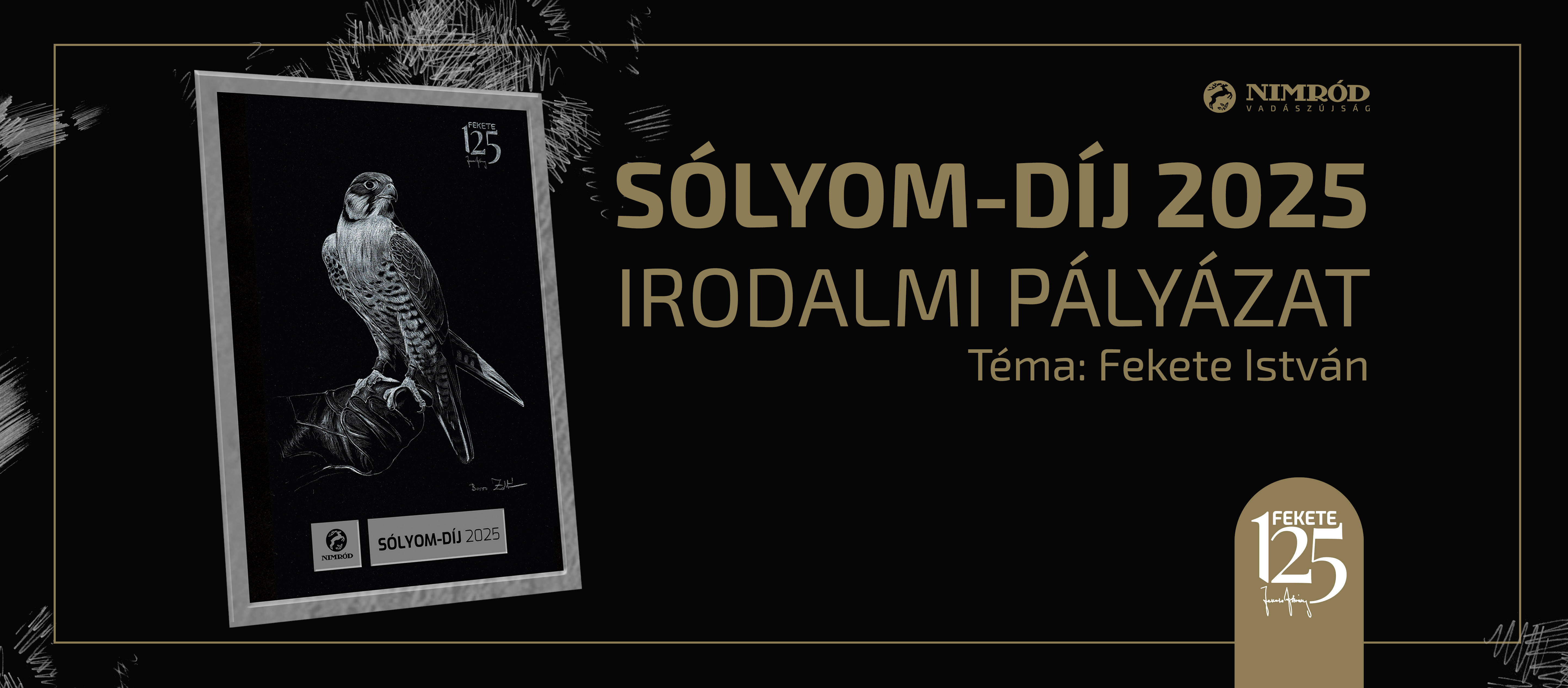 Sólyom-díj 2025