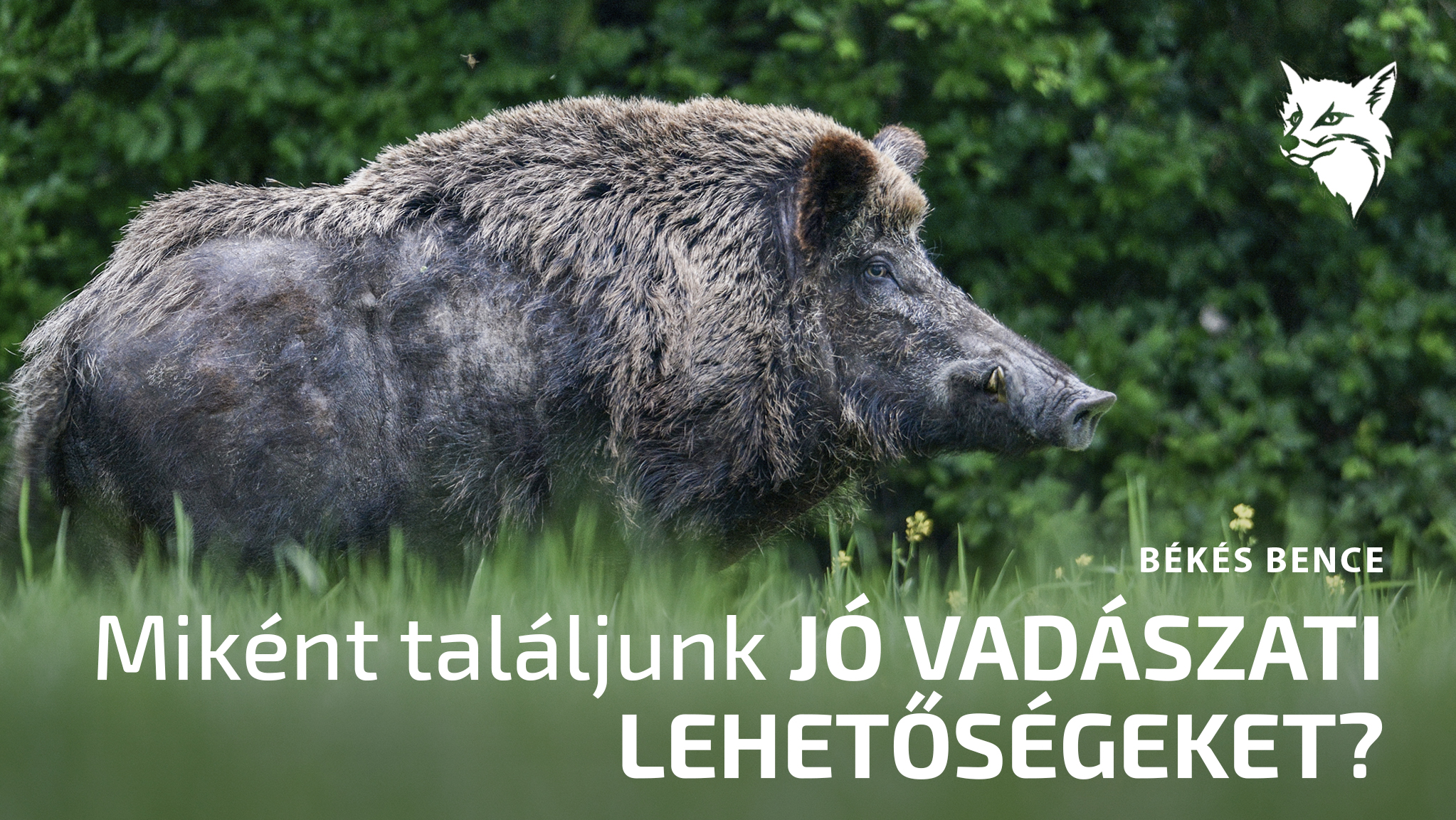  Miként találjunk jó vadászati lehetőségeket?