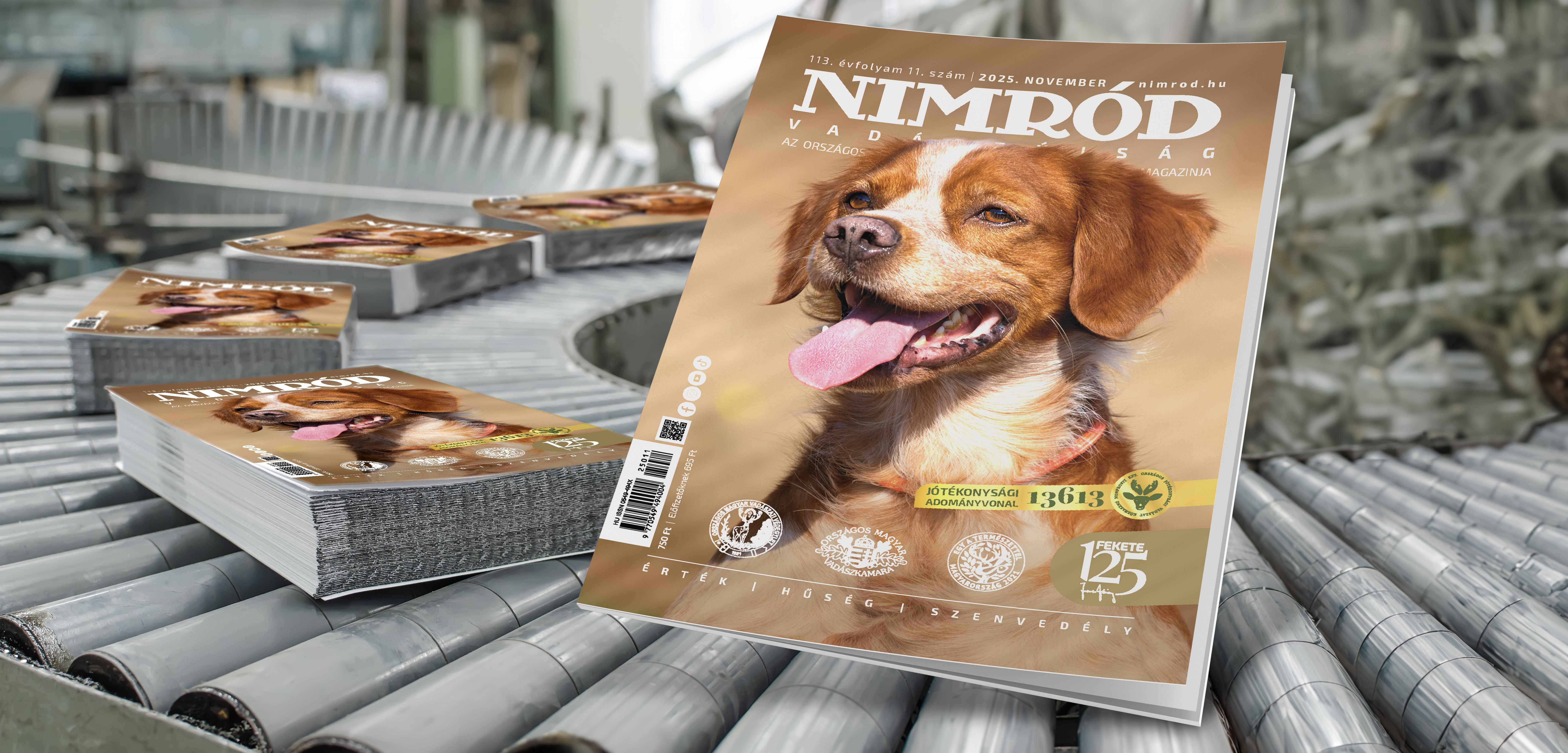 Novemberi lapajánló