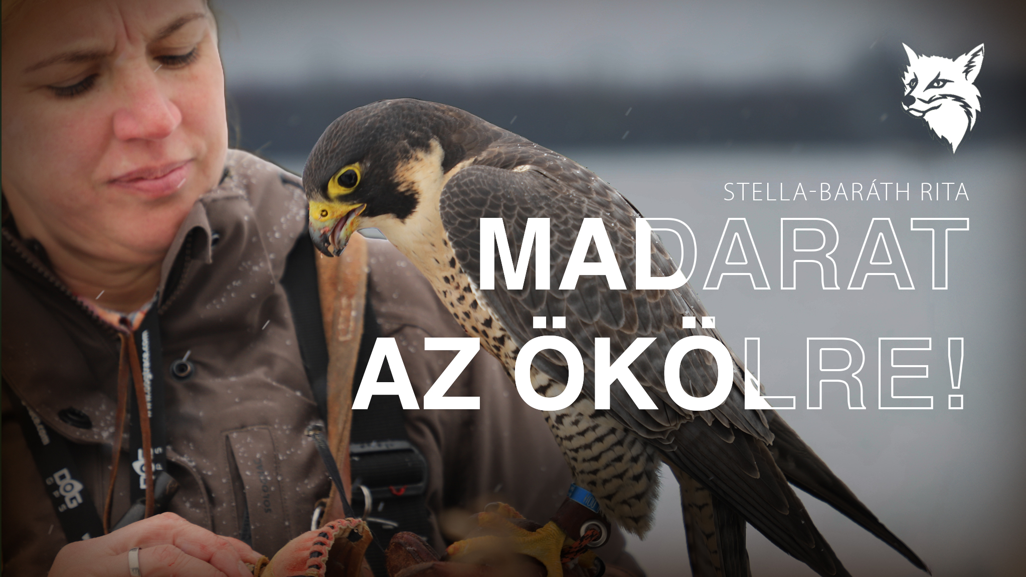 Madarat az ökölre!