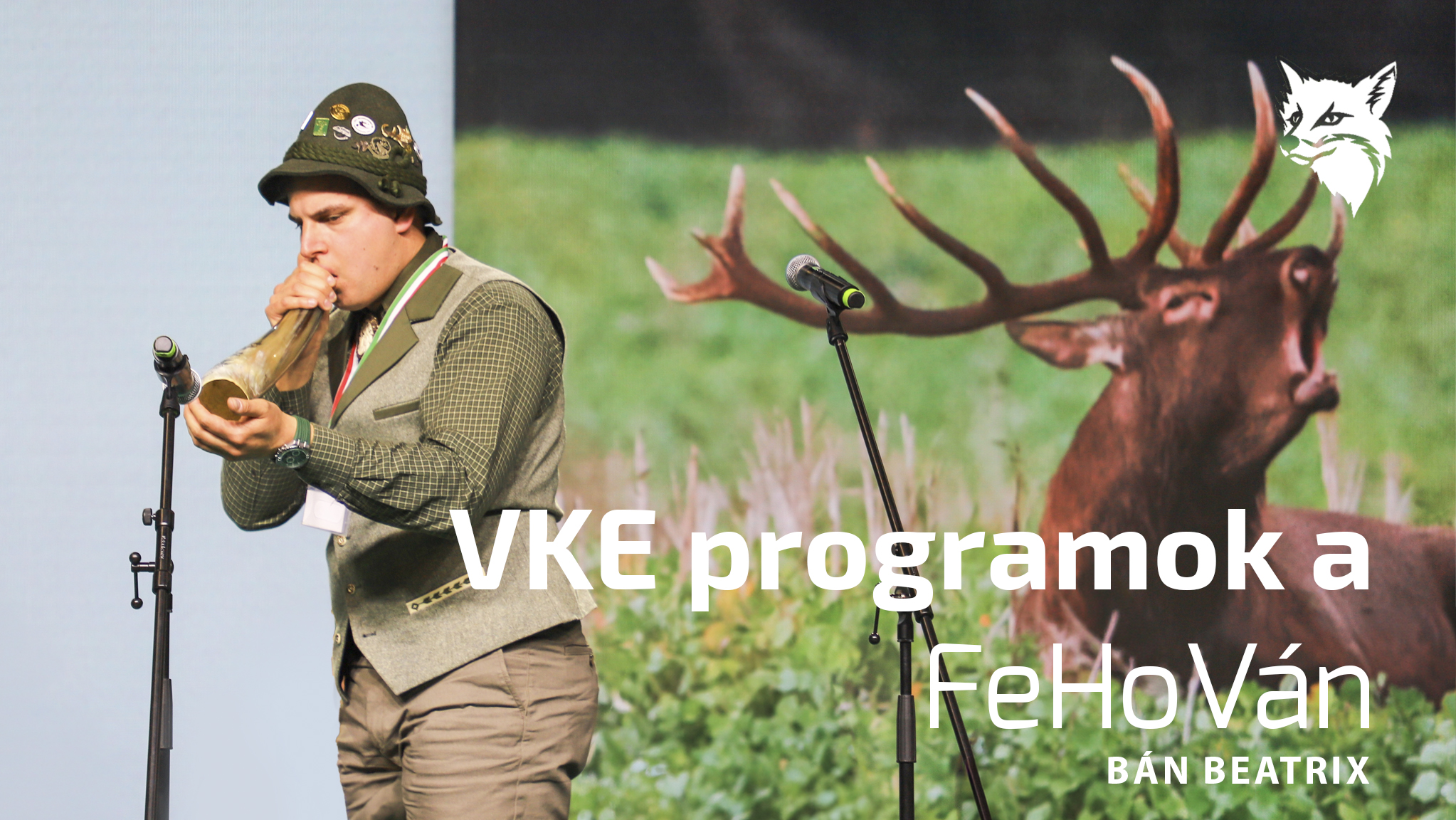  VKE programok a FeHoVán – vendégünk Bán Beatrix