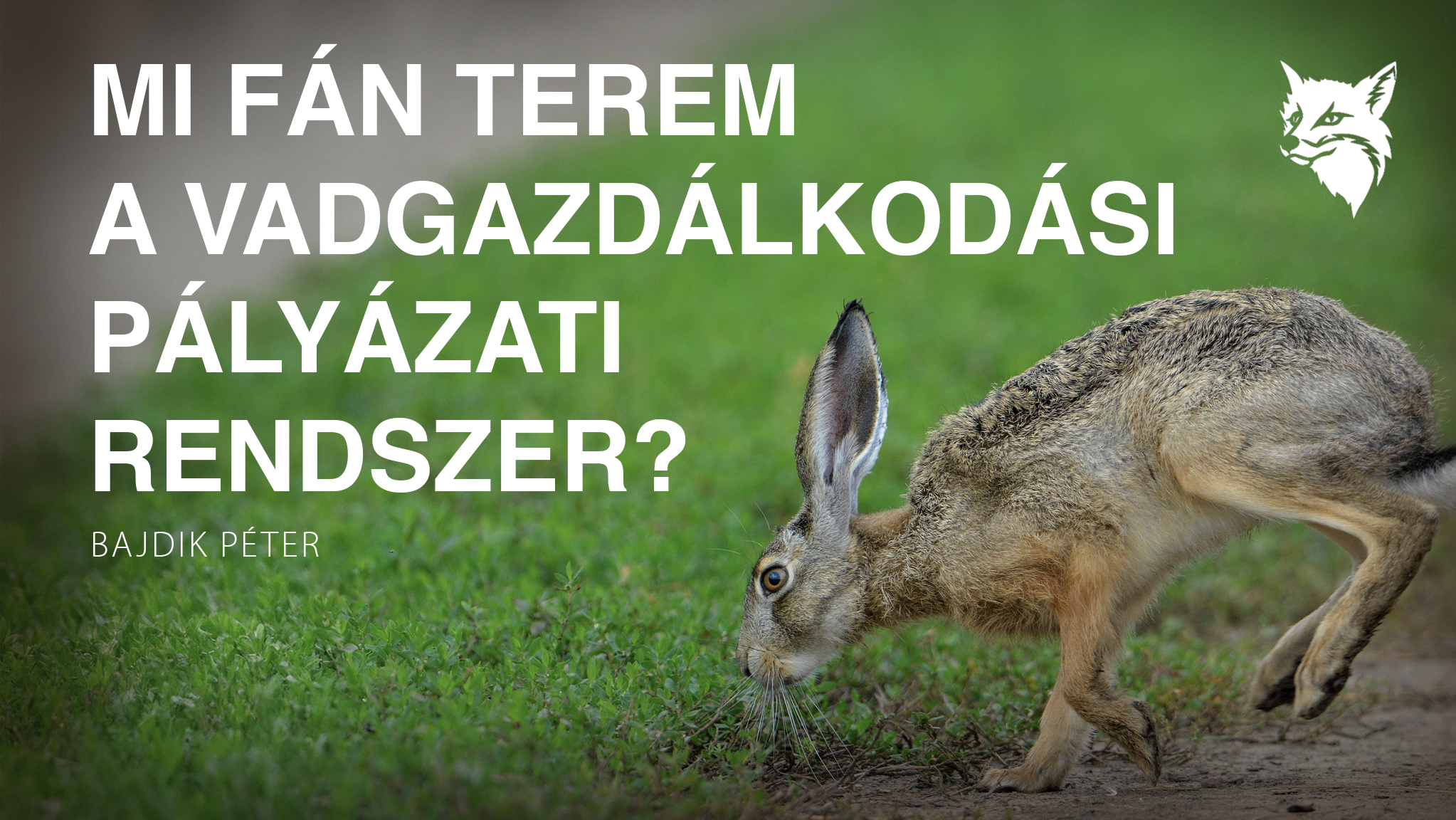 Mi fán terem a Vadgazdálkodási Pályázati Rendszer?